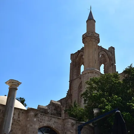 Stone פמגוסטה